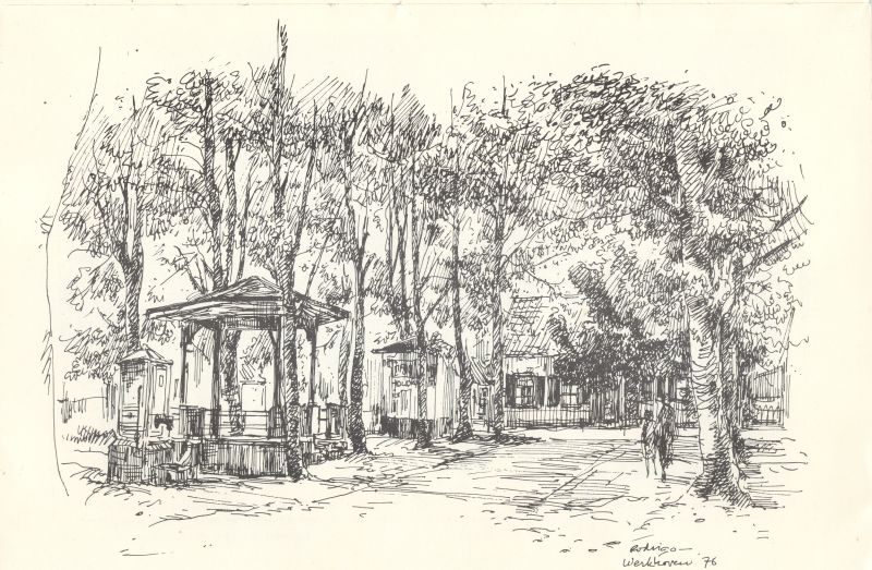 De bomen op de Werkhovense brink